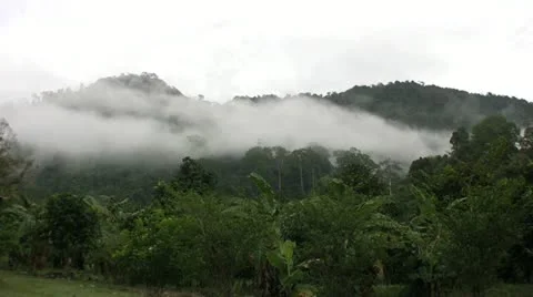 Clouds Disappearing In The Jungle Hills 스톡 동영상 12429314