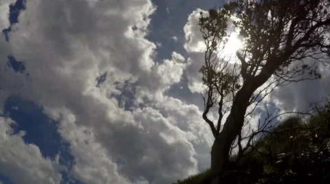 Clouds dramatically pass over a hill and tree in time lapse. Video stock 64463069