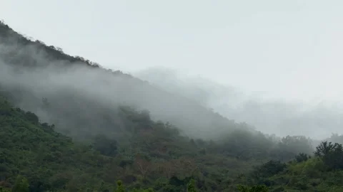 Clouds drift across a mountain slope covered with dense green vegetation. Misty Stock Footage 339279377