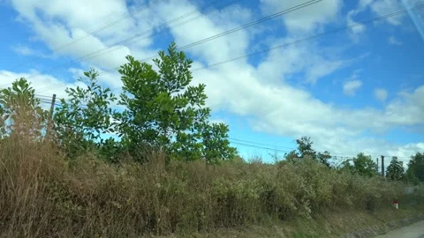 Clouds drift gradually as vertical lines of roadside growth pass below, the 스톡 동영상 325972342