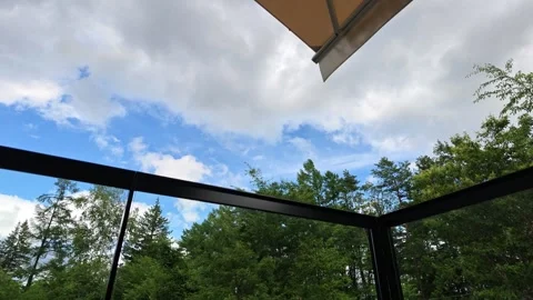 Clouds drift over green forest treetops 스톡 동영상 340121331