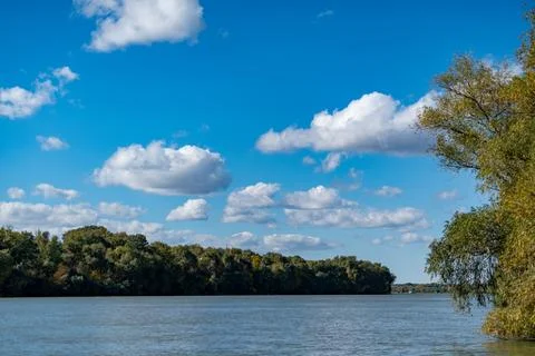 Clouds drift over a river surrounded by trees on a clear day in autumn Stock Photos