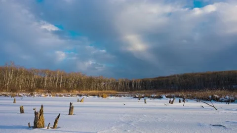 Clouds drift through a blue sky above a snow covered beaver pond and forest.  Stock Footage 165942657