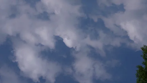 Clouds drifting in blue sky over trees Video stock 334328380