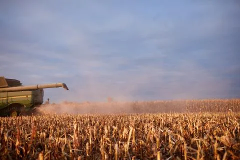 Clouds of dust and chaff behind a combine Foto stock
