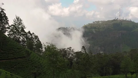 Clouds emerging from behind a slope above a tea plantation in Sri Lanka Stock Footage 153043879