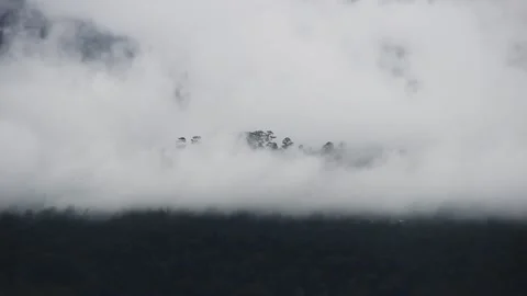 Clouds envelop the mountain slopes Video stock 151955691