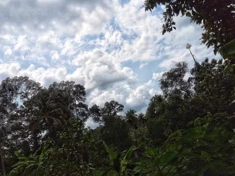 Clouds essential for rain-01 Stock Photos