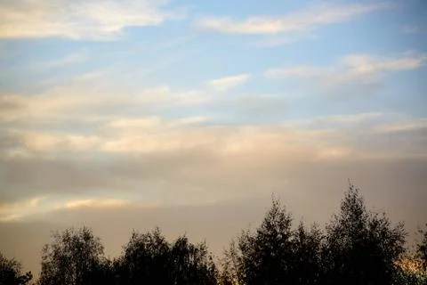 Clouds in the evening sky above tree crowns.	 Stock Photos