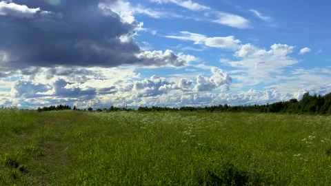 Clouds. field of grass and sky Stock Footage 221722570