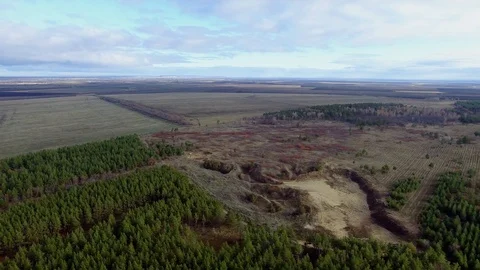 Clouds, fields and forest Stock Footage 99576966
