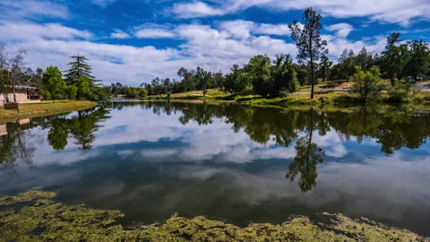 Clouds Float Above Duck Pond other Activity Stock Footage 281965183