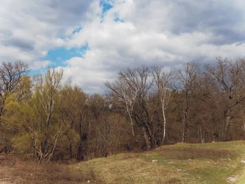 Clouds float above the forest. in the spring Foto stock