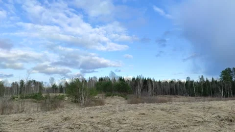 Clouds float across the blue sky above the forest 3 Stock-Footage 332672492