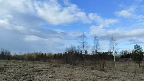 Clouds float across the blue sky above the forest 2 Stock Footage 332674474