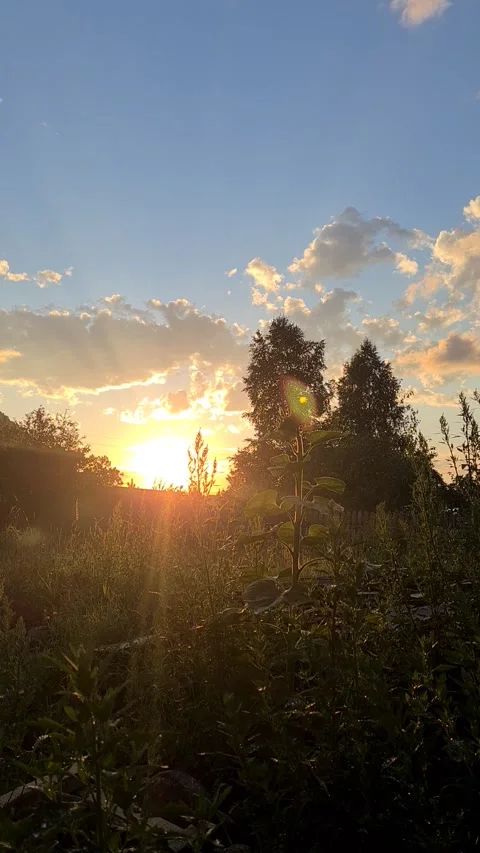 Clouds float across the sky Stock Footage 201801461