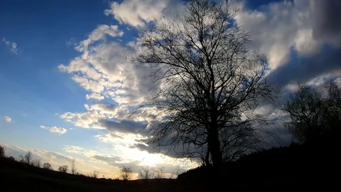 Clouds float on a background of wood. Video stock 126791833