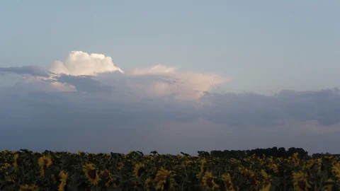 Clouds float over the field at sunset (time lapse) Stock Footage 93748312