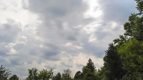 Clouds float over the forest. Stock Footage 50676279