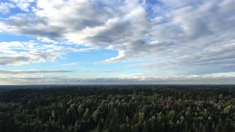 Clouds floating above the forest in time lapse Видео 138112540
