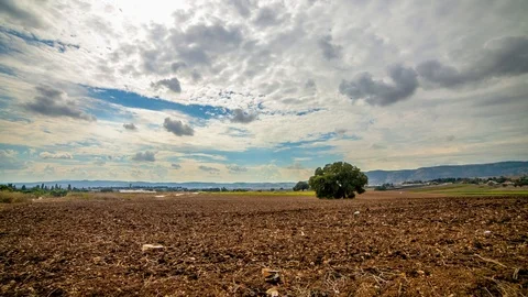 Clouds Floating Above The Lonely Tree In A Field (Time-Lapse, HDR) Stock Footage 93754045