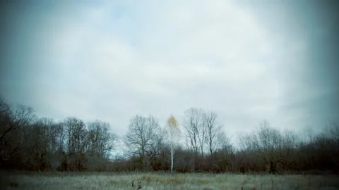 Clouds floating in the sky Stock-Footage 142903693