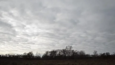 Clouds floating in the sky Stock-Footage 142903717