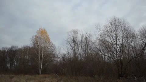 Clouds floating in the sky Stock-Footage 142903772