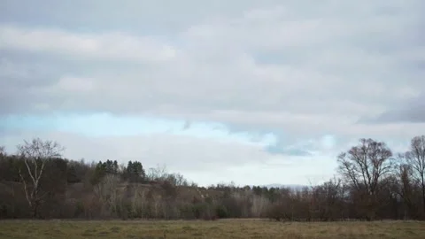 Clouds floating in the sky Stock-Footage 142903886