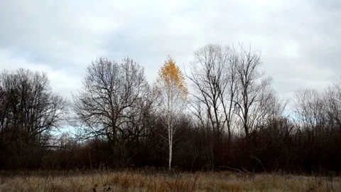 Clouds floating in the sky Video stock 142904412