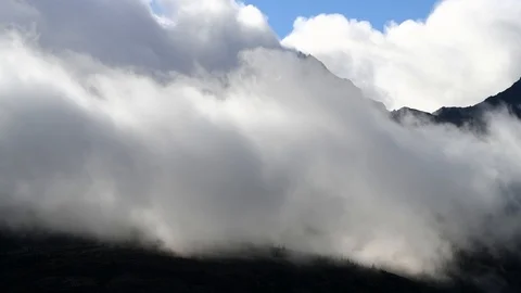 Clouds flowing over forest in the mountains Video stock 95617947