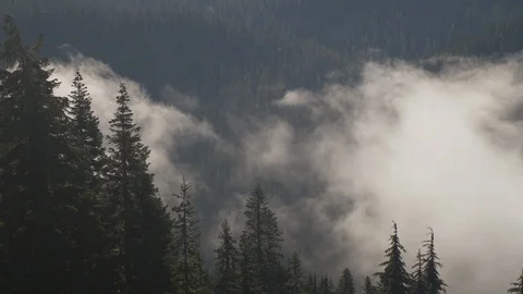 Clouds flowing through valley 2 Stock Footage 101200755
