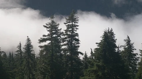 Clouds flowing through valley 3 Stock Footage 101200948