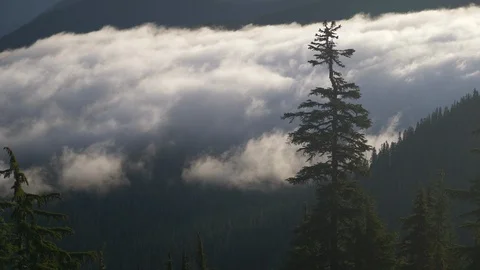 Clouds flowing into valley 4 Stock Footage 101197853