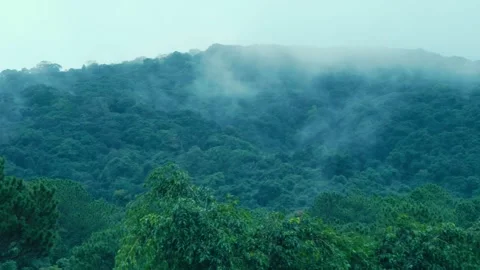 Clouds fly above the lush, misty mountain ranges touching a crowns of the trees Stock Footage 333415644
