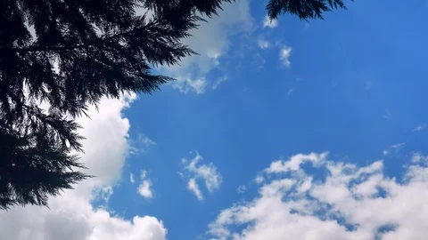 Clouds fly across blue sky, waving tree benches, 4k Title background Stock-Footage 116136091