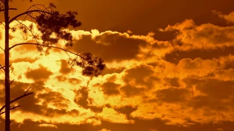 Clouds flying above the forest Stock Footage 69808628