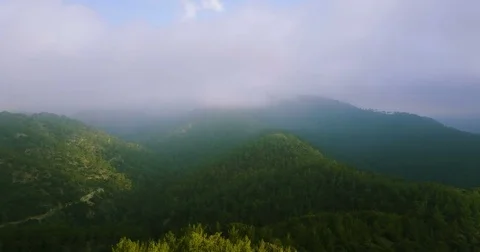Clouds, fog in the mountains. Cyprus. Cedar Valley. Stock Footage 74677665