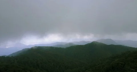 Clouds, fog in the mountains. Cyprus. Cedar Valley. Stock Footage 74677933