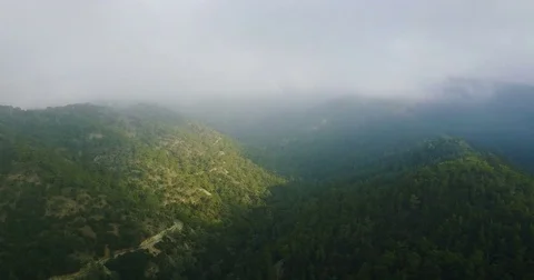 Clouds, fog in the mountains. Cyprus. Cedar Valley. Stock Footage 74696575