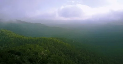 Clouds, fog in the mountains. Cyprus. Cedar Valley. Stock Footage 74903889