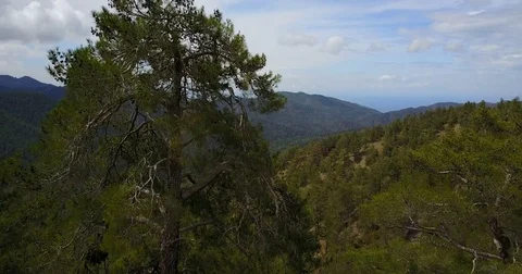 Clouds, fog in the mountains. Cyprus. Cedar Valley. Stock Footage 75207146