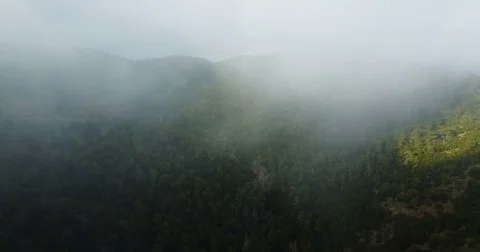 Clouds, fog in the mountains. Cyprus. Cedar Valley. Stock Footage 76662393