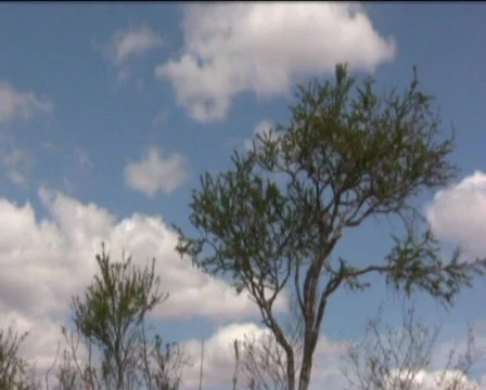  clouds Stock Footage 557803