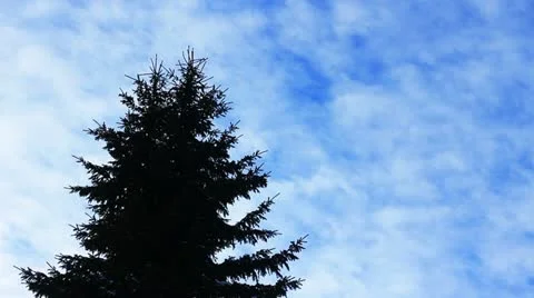 Clouds Stock Footage 12528674