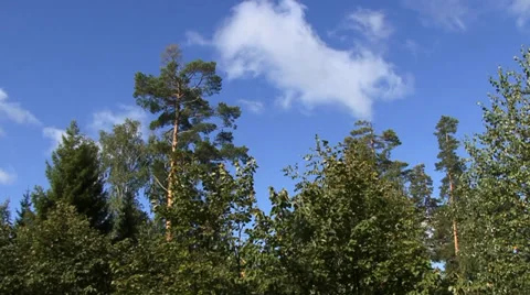 Clouds Stock Footage 27428566