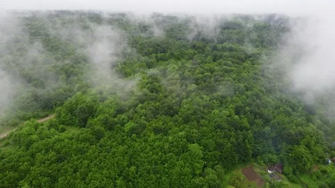 In the clouds Video stock 157930397