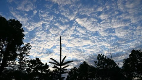 Clouds. Stock-Footage 325568848