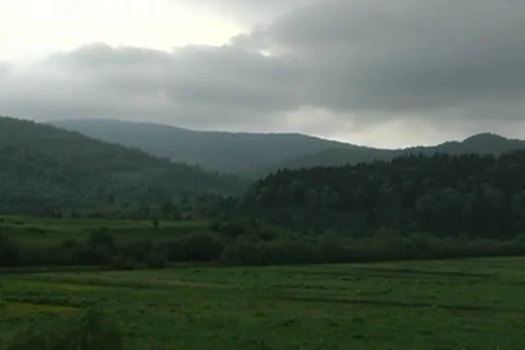 Clouds, forest, beauty 2 Stock Footage 5727957