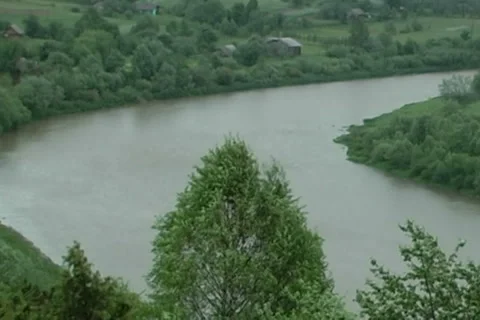 Clouds, forest, beauty 4 Stock Footage 6523762